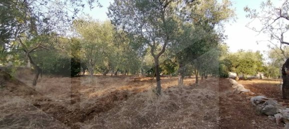 6 rooms House in Modugno, Italy No. 27154 14