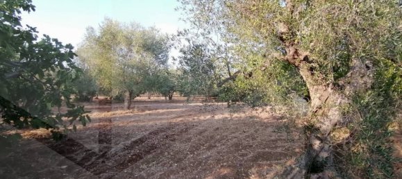 6 rooms House in Modugno, Italy No. 27154 10