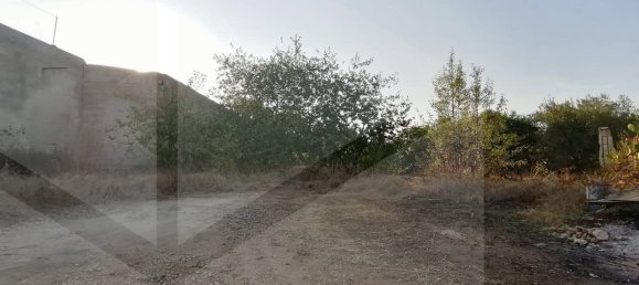 6 rooms House in Modugno, Italy No. 27154 13