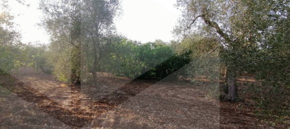 6 rooms House in Modugno, Italy No. 27154 11