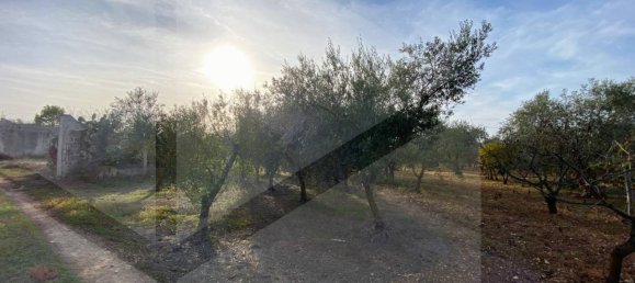 6 rooms House in Modugno, Italy No. 27154 4