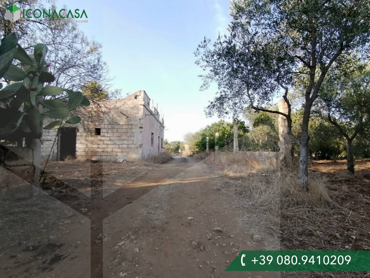 6 rooms House in Modugno, Italy No. 27154