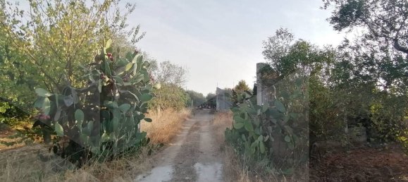 6 rooms House in Modugno, Italy No. 27154 21