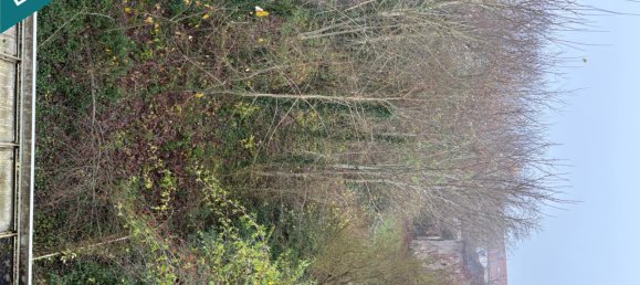 5 chambres Châteaux à Commercy, France No. 227782 13