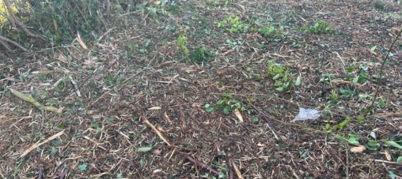 303m² Land in Saint-Pierre-les-Elbeuf, France No. 317748 2