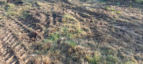 303m² Land in Saint-Pierre-les-Elbeuf, France No. 317748 3