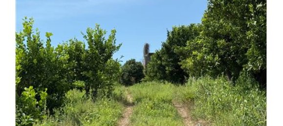 55324m² Land in Giarre, Italy No. 290221 7