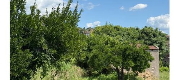 55324m² Land in Giarre, Italy No. 290221 5