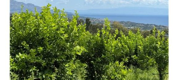 55324m² Land in Giarre, Italy No. 290221 6