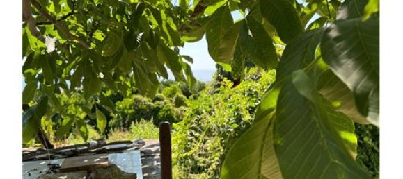 55324m² Land in Giarre, Italy No. 290221 41