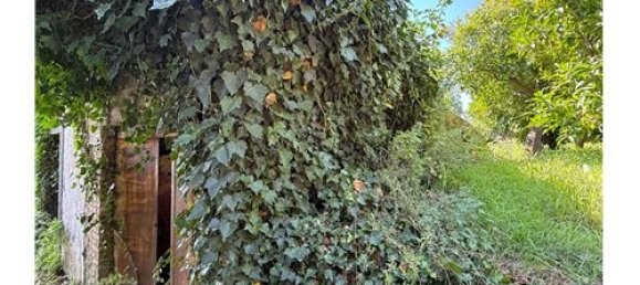 55324m² Land in Giarre, Italy No. 290221 30