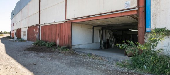 700m² Warehouse in Cijuela, Spain No. 166482 18
