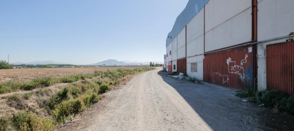 700m² Warehouse in Cijuela, Spain No. 166482 27