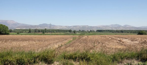 700m² Warehouse in Cijuela, Spain No. 166482 19