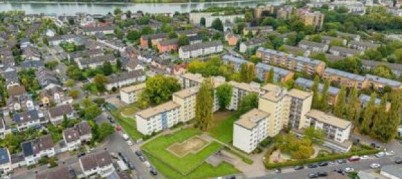 3 rooms Apartment in Cologne, Germany No. 211629 2