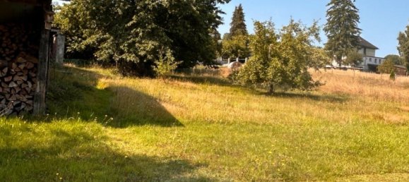 4 chambres Maison à Birkenfeld, Germany No. 338636 6