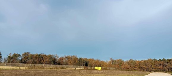 30292m² Land in Wels, Austria No. 156189 9