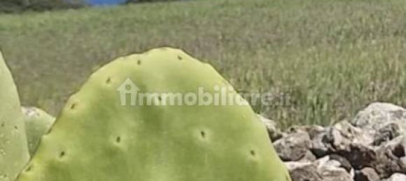 12000m² Land in Sardinia, Italy No. 312931 4