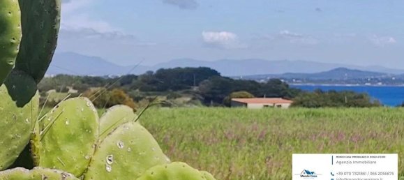 12000m² Land in Sardinia, Italy No. 312931 3