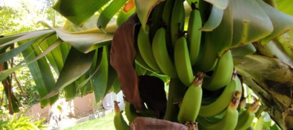 3 bedrooms House in Finestrat, Spain No. 284356 18