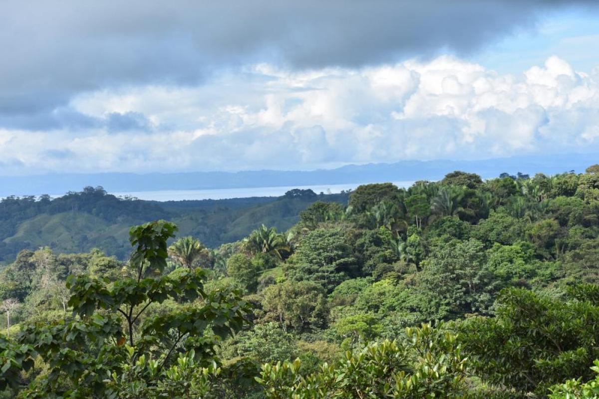 Propriedade comercial em Puntarenas, Costa Rica N.º 1276