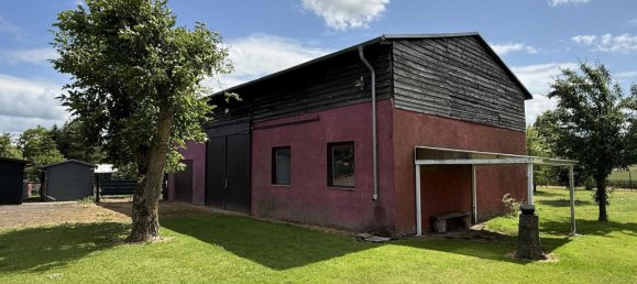 6 rooms House in Vorpommern-Rugen, Germany No. 176633 4