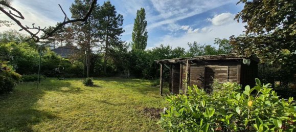 Дом с 6 комнатами в Дойч-Ваграм, Австрия № 148432 15