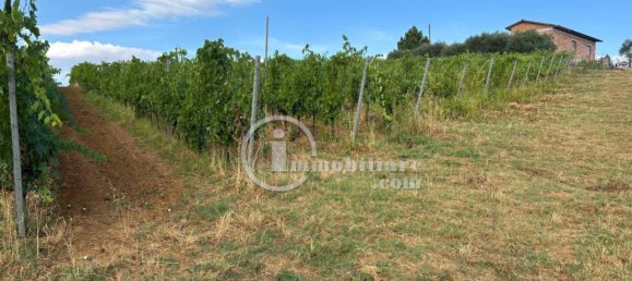 150m² Land in Montepulciano, Italy No. 284599 15