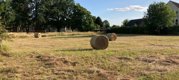  Land in Ostprignitz-Ruppin, Germany No. 365964 5