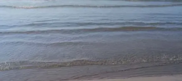 105m² Commercial property in San Gabriel, Spain No. 272135 6