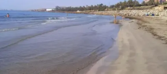 105m² Commercial property in San Gabriel, Spain No. 272135 7