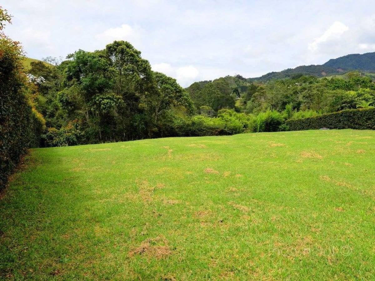  قطعة أرض في Antioquia, Colombia رقم 499