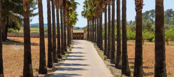 Вилла с 8 спальнями в Альгайда, Испания № 259592 2