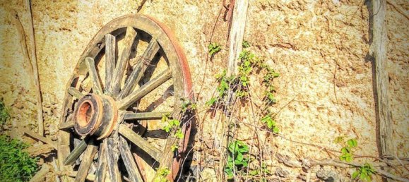 4 Schlafzimmer Haus in Santiago do Cacem, Portugal, Nr. 99357 16