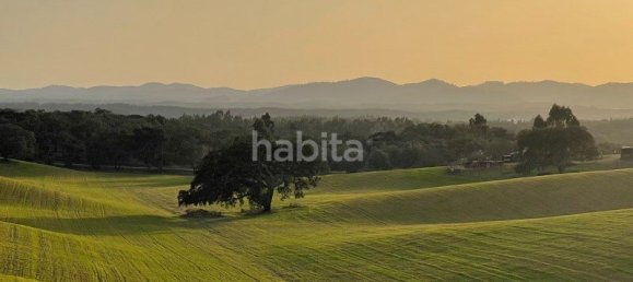 4 Schlafzimmer Haus in Santiago do Cacem, Portugal, Nr. 99357 20