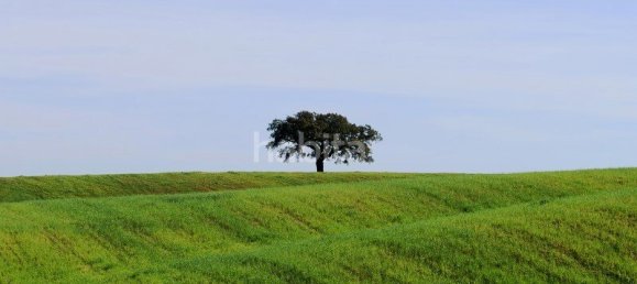 4 Schlafzimmer Haus in Santiago do Cacem, Portugal, Nr. 99357 19