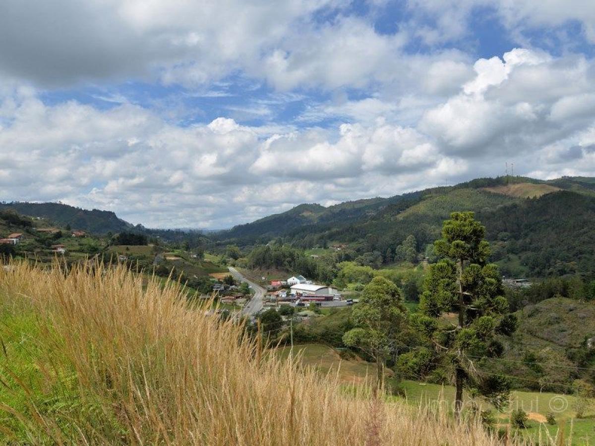  Land in Antioquia, Colombia No. 533