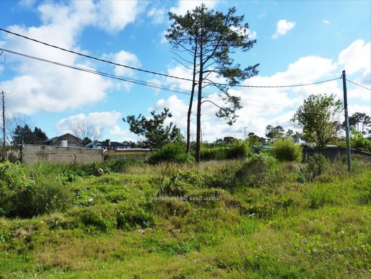  Land in Canelones, Uruguay No. 14300