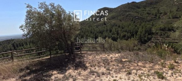 1 غرف نوم منزل في Tortosa, Spain رقم 60810 16