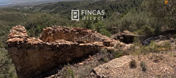 1 غرف نوم منزل في Tortosa, Spain رقم 60810 22