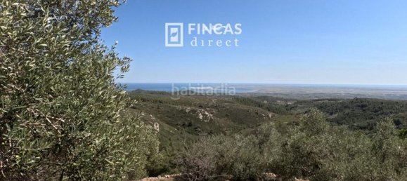 1 غرف نوم منزل في Tortosa, Spain رقم 60810 15