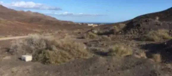 Земельный участок в Туинехе, Испания № 186831 3