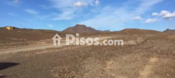 Земельный участок в Туинехе, Испания № 186831 2