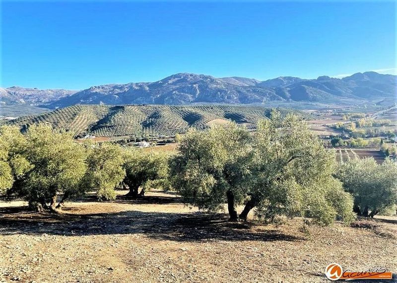 Terrain à Villanueva del Rosario, Spain 16531m² No. 219647