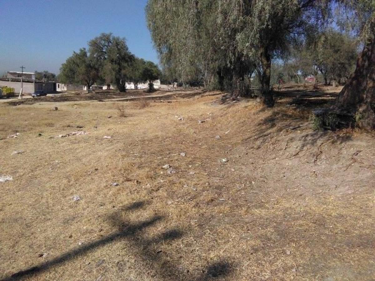 Grundstück in Mexico, Nr. 204538