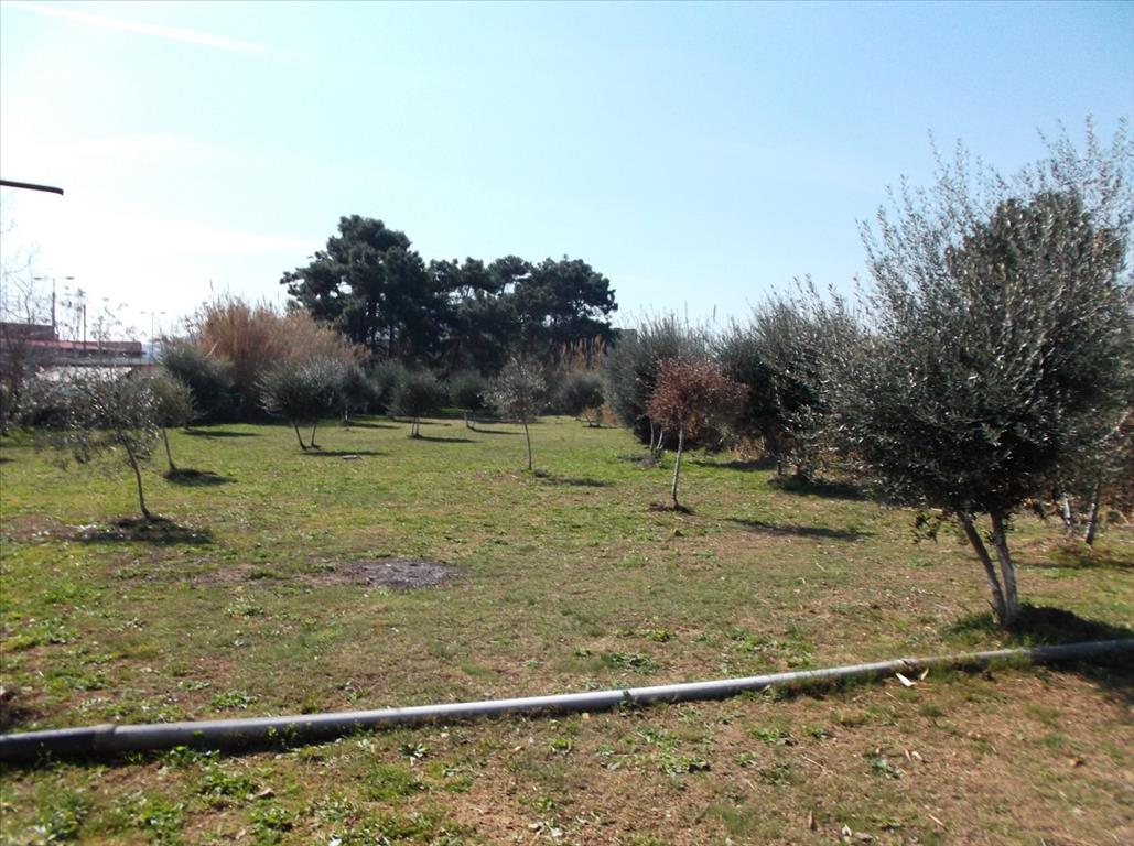 Отель, гостиница 2768м² в Амарусион, Греция № 6420