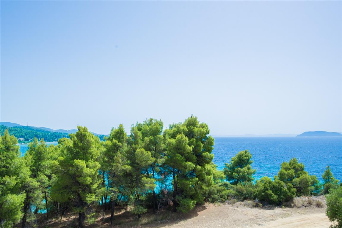 Property in Chalkidiki, Greece 420m², Nr. 4252