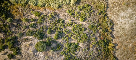 Дом с 2 спальнями в Сан-Луис-де-Сабинильяс, Испания № 147038 15