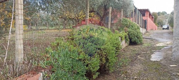 4غرفة منزل في Chiaramonte Gulfi, Italy رقم 74089 20