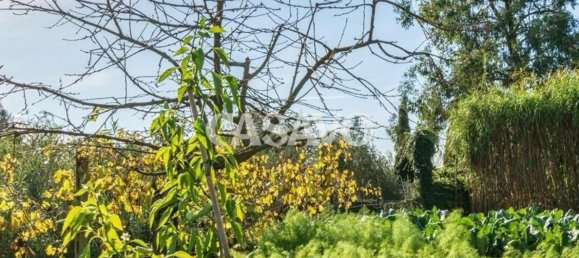 8 chambres Villa à Manziana, Italy No. 321800 50